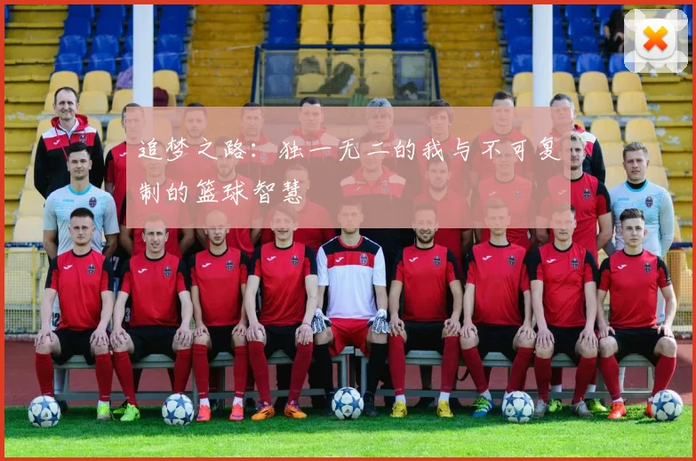 追梦之路：独一无二的我与不可复制的篮球智慧
